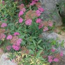 서면 마을회관 이미지