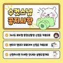 수컷 - 기장군 정관로 578 | EP 17. 수컷스냅 계약 후기 +꿀팁&짝꿍구함 (본식 스냅&DVD)