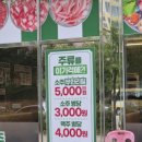 신항대패 이미지