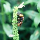 베스트카센타 이미지