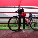 목계숲 2 이미지