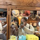 에메랄드 | 캐나다 밴프 에메랄드 호수 카약 가격 후기 주차