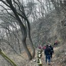 송당승마장 이미지