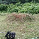 가곡3리 이미지