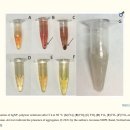 chitosan 키토산 통시적 리뷰연구!!! 이미지
