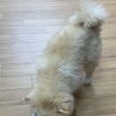 에이치 알 소프트 이미지