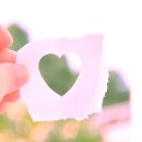 베이비파크(코솜코리아) 이미지