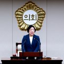 255 이미지