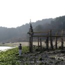 보성바다스토리리조트 | 보성 출사지 추천! 바다스토리리조트 해변, 초록빛 파래와 함께하는 감성 사진 찍는 법