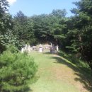 양석농장 | 13825 남양주 사릉,성묘(成墓),임해군(臨海君),백봉95