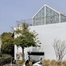 멍스낵 | 나홀로 제주 2박3일 둘째 날｜요가로 시작해 스쿠터 타고 명랑스낵 그리고 포크 카페까지