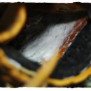 프로메이드 이미지