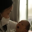 둥지조산원 이미지