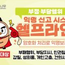 푸드나무 이미지