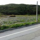 잘풀리는 부동산 공인중개사사무소 이미지