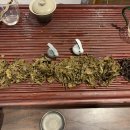 포담티하우스