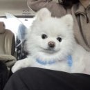 유달리 동복 이미지