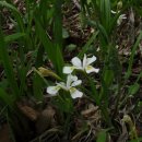 태백산가는길 이미지