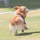 언니들PC 이미지