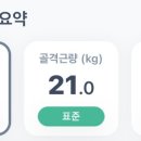 미친피자 이미지