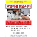 수영사우나 이미지
