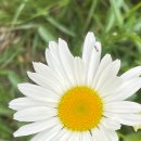 주식회사 위아코리아