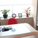 느티나무치과의원 이미지