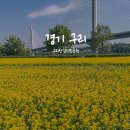 왕숙천공원 왕숙천1교하부 | 구리한강공원에서 왕숙천까지, 유채꽃 구경 왕창!