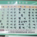 돌고래회식당 이미지
