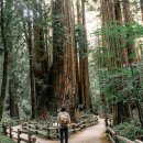 자연산업 이미지