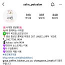 사개절펫살롱