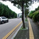 도장공원길 이미지