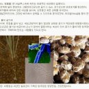 지앤엠시스템 네이버블로그