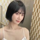 이슈헤어 - 포항시 남구 | 이슈헤어