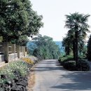 성읍초등학교 이미지