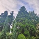 만리포해수욕장 관광지 이미지