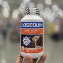 멍멍닷컴 | 강아지 관절영양제 재도전: 코세퀸, 닥터헤리엇, 안티놀