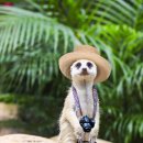 안녕오늘 풀빌라펜션 이미지