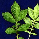 선학초등학교 이미지