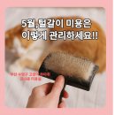 김냐옹 미용실 이미지