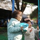 고양낙농체험장 | [2년 전 오늘] 고양 낙농치즈테마체험장 김장체험, 피자 만들기 체험, 동물 먹이주기