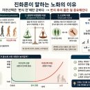 길항 | 노화, 진화론으로 설명 못 한다…그럼 창조론으로?
