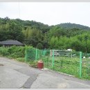 제14호문화 이미지