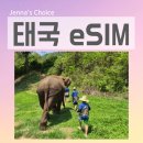 통신나라 | 태국 eSIM 추천 이심나라 방콕 치앙마이 2주 사용 솔직 후기