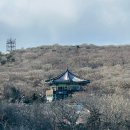 GS25 디지스트위성점 | 🌄 [제주도 가볼만한곳] 제주 1100고지 도로 통제 확인법부터 휴게소·탐방로 후기까지