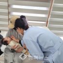 단양군보건소 이미지