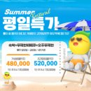 애터미춘천다온센터 방문판매 | 가평 빠지 패키지 펜션 깨끗한 대형 워터파크 가격