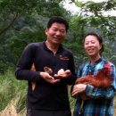 산골정육점 이미지