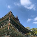 카페스윗츠