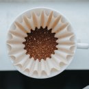 바디밸런스 컴퍼니 이미지